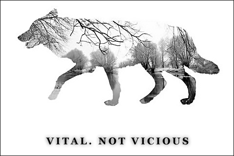 Vital not Vicious